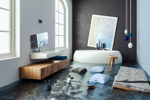 Best 24/7 water damage repair  in Baxter Estates, NY