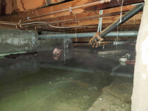 Best Sewage cleanup and water damage restoration  in Baxter Estates, NY