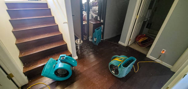 Best Residential water damage restoration  in Baxter Estates, NY