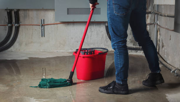 Best Flooded house restoration  in Baxter Estates, NY