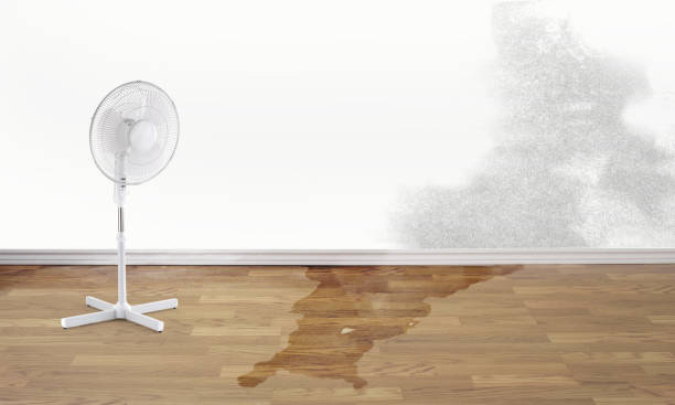 Best Fire Damage Restoration  in Baxter Estates, NY