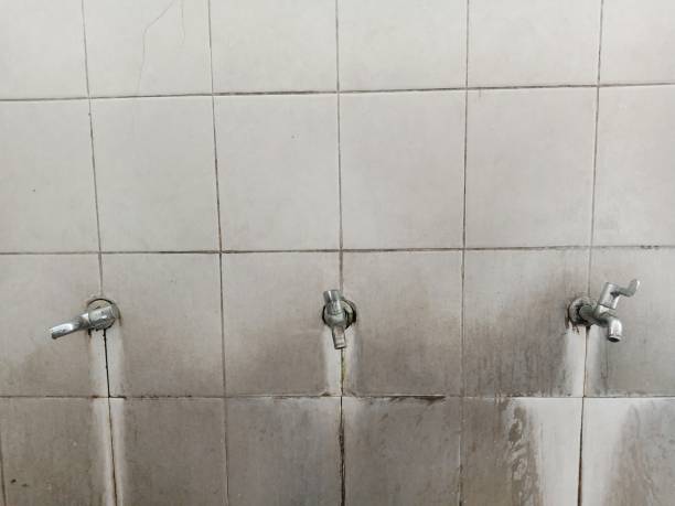 Best 24-hour water damage restoration  in Baxter Estates, NY