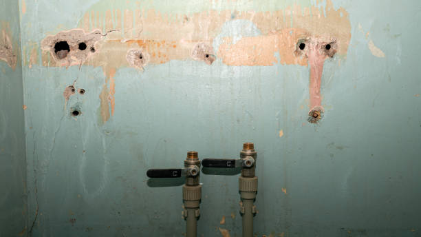 Trusted Baxter Estates, NY Water damage restoration Experts