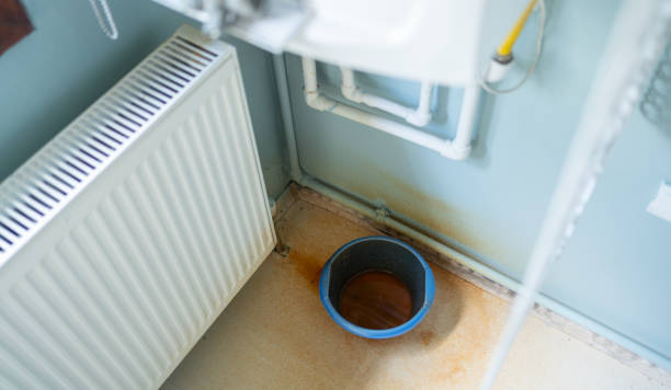 Best Basement water damage restoration  in Baxter Estates, NY