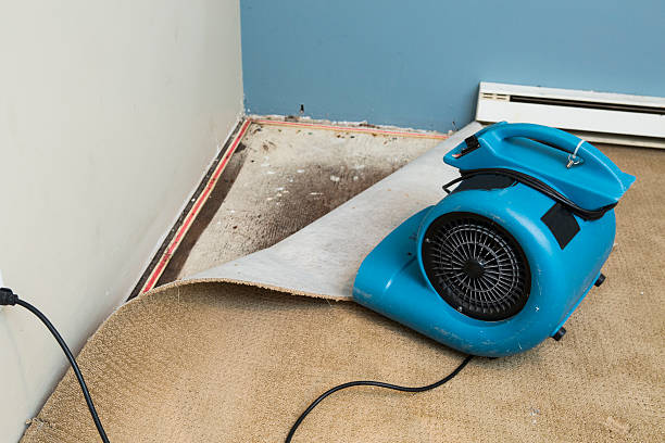 Best Flood restoration services  in Baxter Estates, NY
